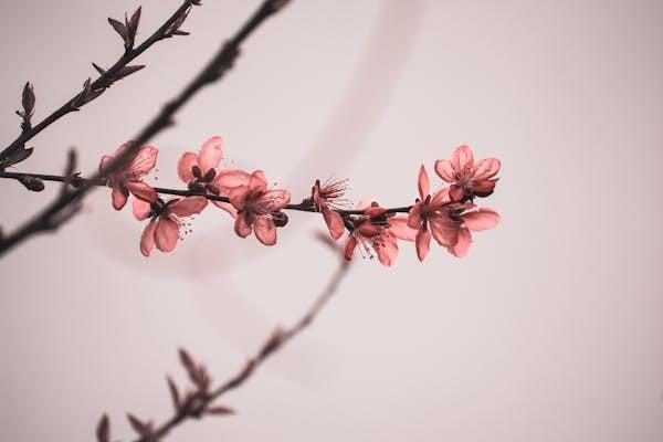 保险一年后去退保有影响吗？对投保人信誉有影响吗？