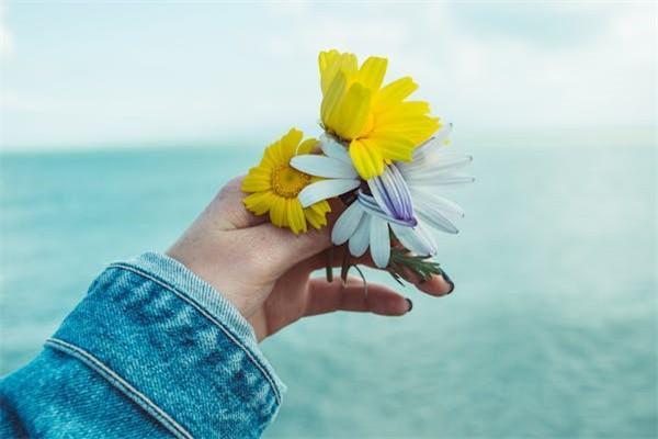 专家解读车辆保险法！教你买几种车险就够了~