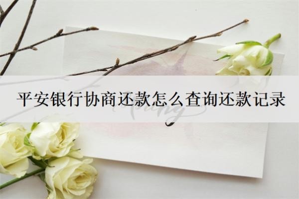 平安银行协商还款怎么查询还款记录