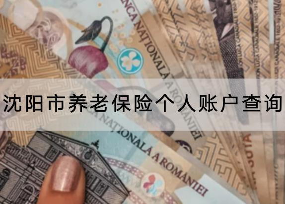沈阳市养老保险个人账户查询怎么查?怎么交?