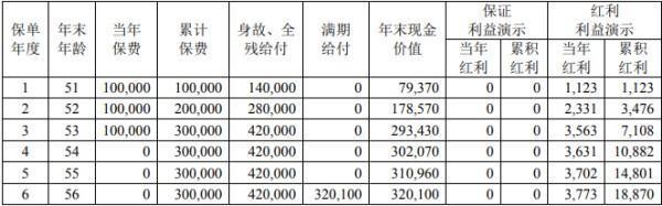 中荷金如意E款两全保险（分红型）满期返多少