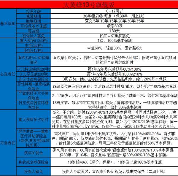 大黄蜂13号保险保障范围