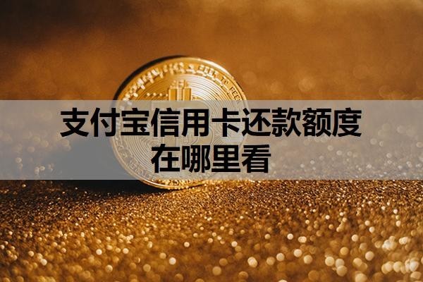 支付宝信用卡还款额度在哪里看