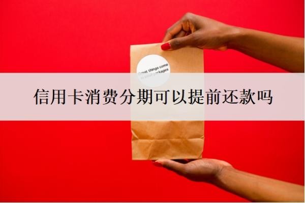 信用卡消费分期可以提前还款吗