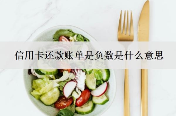 信用卡还款账单是负数是什么意思