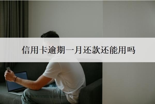 信用卡逾期一月还款还能用吗