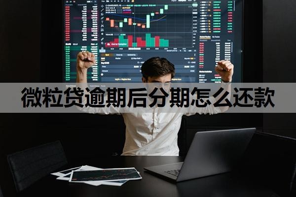 微粒贷逾期后分期怎么还款
