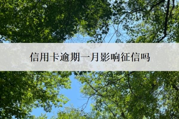 信用卡逾期一月影响征信吗