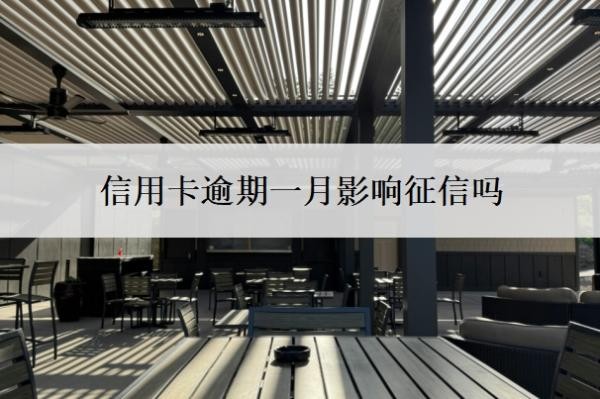 信用卡逾期一月影响征信吗