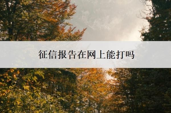 征信报告在网上能打吗