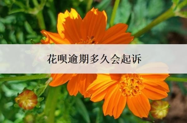 花呗逾期多久会起诉