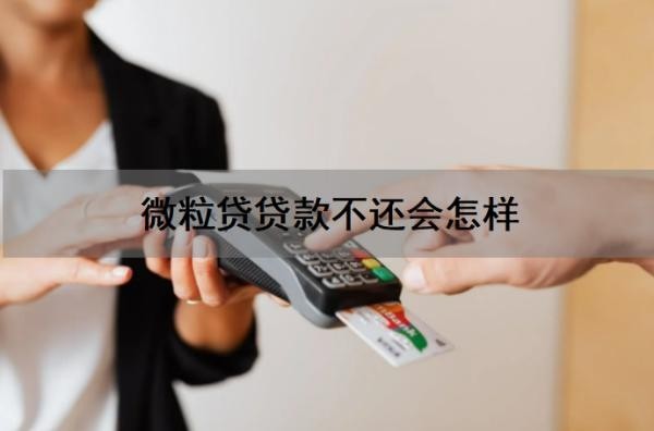 微粒贷贷款不还会怎样