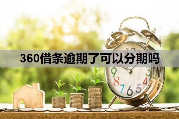 360借条逾期了可以分期吗