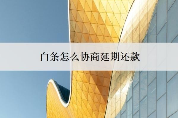 白条怎么协商延期还款