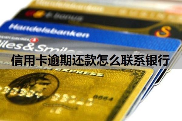 信用卡逾期还款怎么联系银行