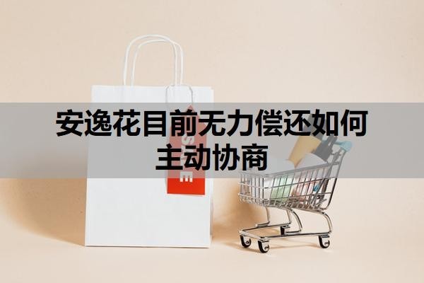 安逸花目前无力偿还如何主动协商