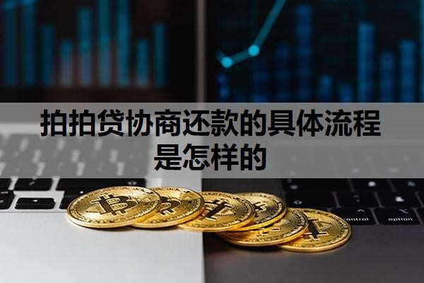 拍拍贷协商还款的具体流程是怎样的？
