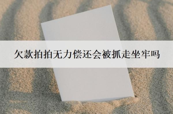 欠款拍拍无力偿还会被抓走坐牢吗？欠钱被起诉了确实没有钱还怎么办？