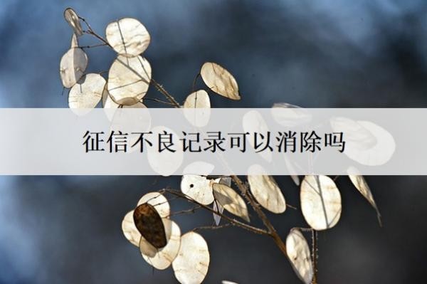 征信不良记录可以消除吗