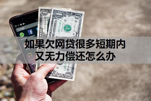 如果欠网贷很多短期内又无力偿还怎么办