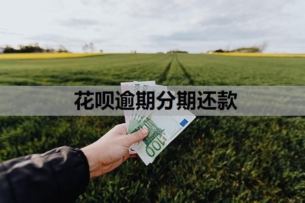 花呗逾期分期还款申请是怎样的?逾期了怎么协商还本金?