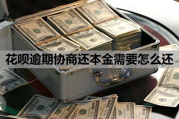 花呗逾期协商还本金需要怎么还 花呗逾期协商还本金需要怎么还