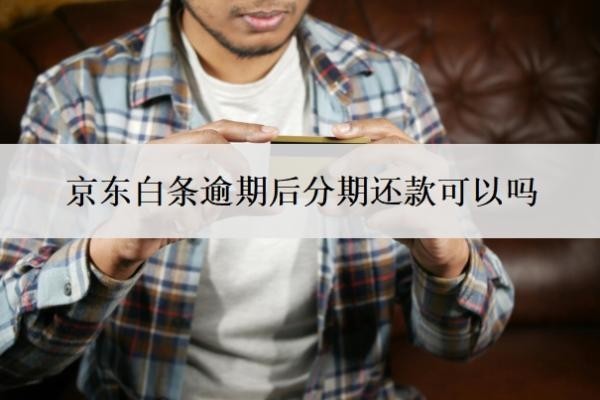 京东白条逾期后分期还款可以吗？怎么协商还款？