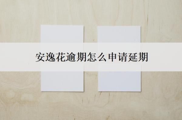 安逸花逾期怎么申请延期？会上门催收吗？
