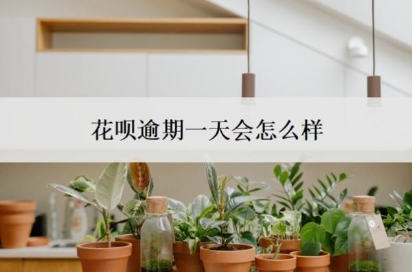 花呗逾期一天会怎么样 花呗逾期一天会怎么样