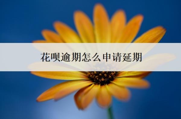 花呗逾期怎么申请延期