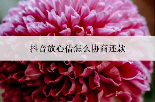 抖音放心借怎么协商还款 抖音放心借怎么协商还款