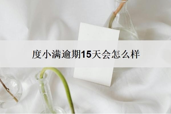 度小满逾期15天会怎么样