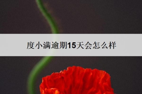 度小满逾期15天会怎么样
