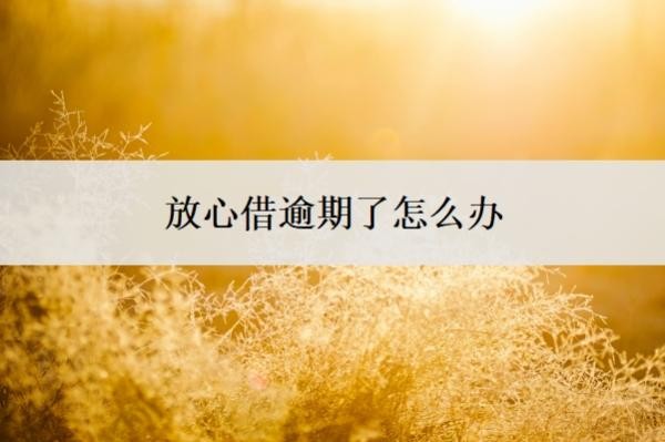 放心借逾期了怎么办