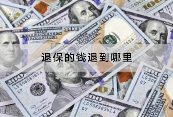 退保的钱退到哪里 退保的钱退到哪里
