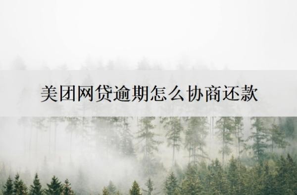 美团网贷逾期怎么协商还款？美团网贷逾期起诉立案标准