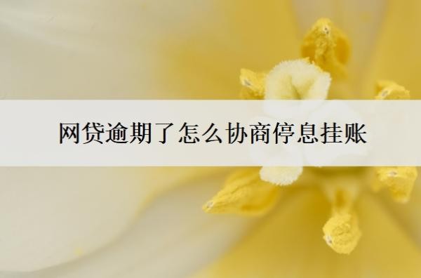 网贷逾期了怎么协商停息挂账 网贷逾期了怎么协商停息挂账