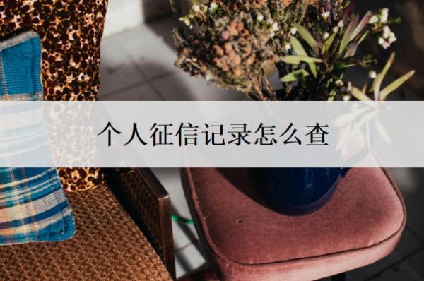 个人征信记录怎么查