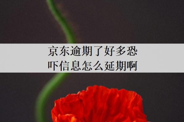京东逾期了好多恐吓信息怎么延期啊