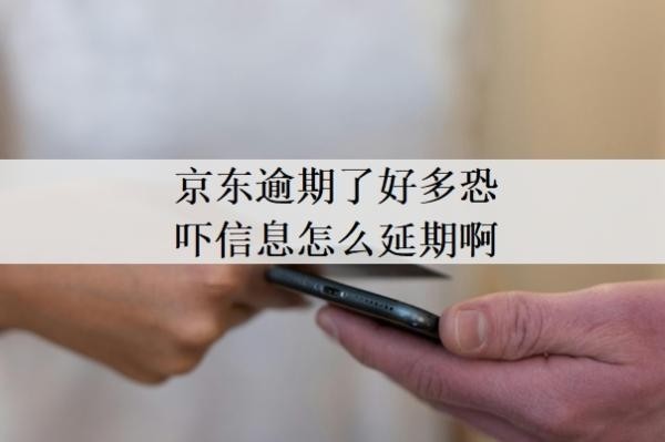 京东逾期了好多恐吓信息怎么延期啊