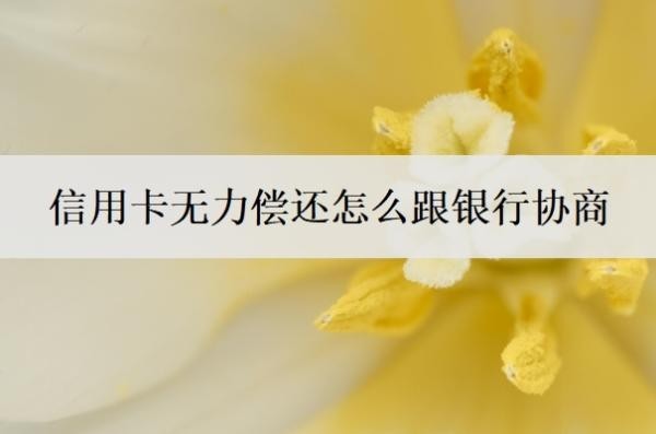 信用卡无力偿还怎么跟银行协商