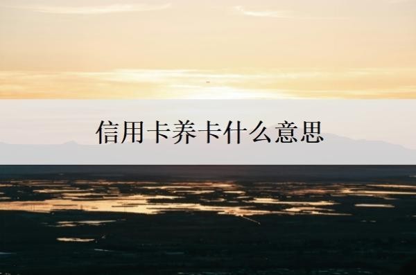 信用卡养卡什么意思