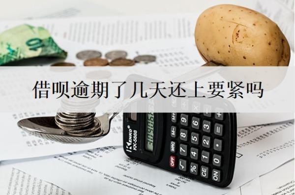 借呗逾期了几天还上要紧吗