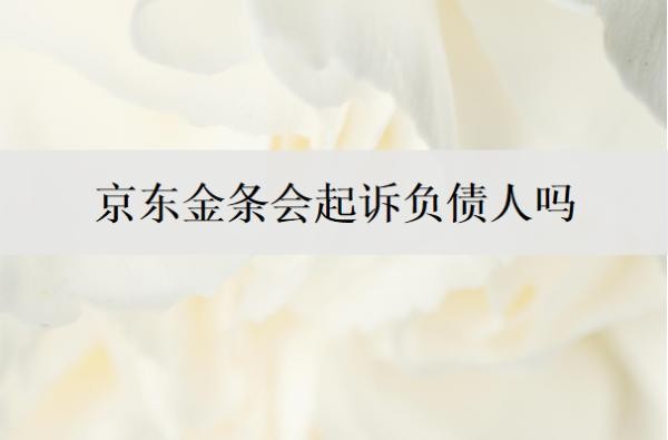 京东金条会起诉负债人吗
