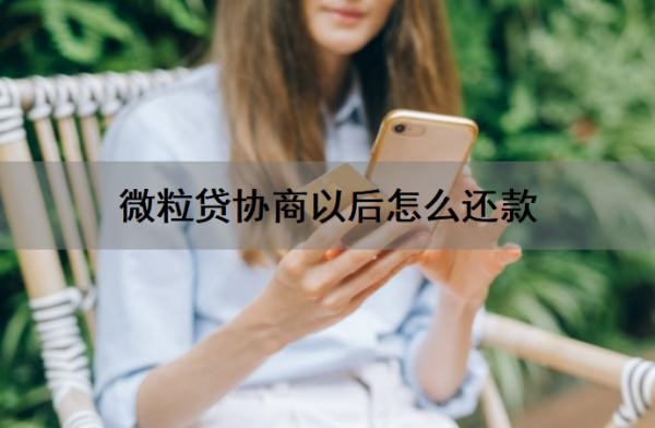 微粒贷协商以后怎么还款