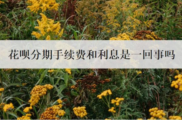 花呗分期手续费和利息是一回事吗