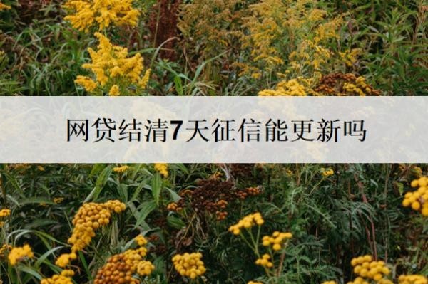 网贷结清7天征信能更新吗 网贷结清7天征信能更新吗