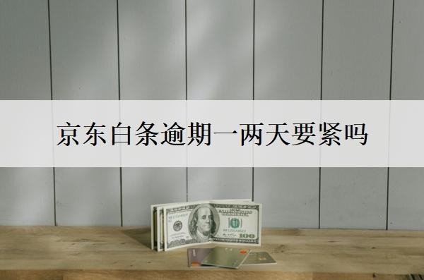 京东白条逾期一两天要紧吗 京东白条逾期一两天要紧吗