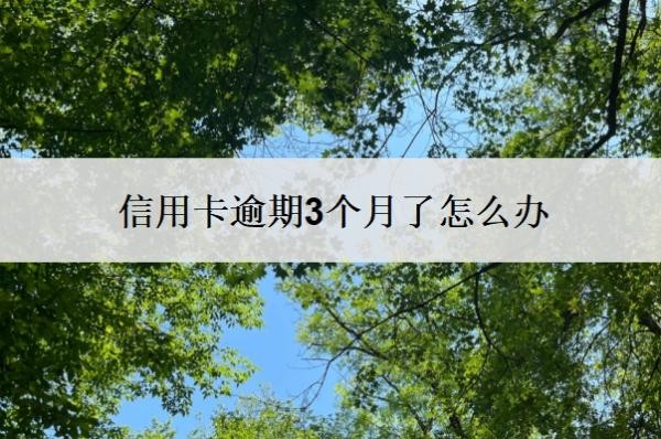 信用卡逾期3个月了怎么办 信用卡逾期3个月了怎么办