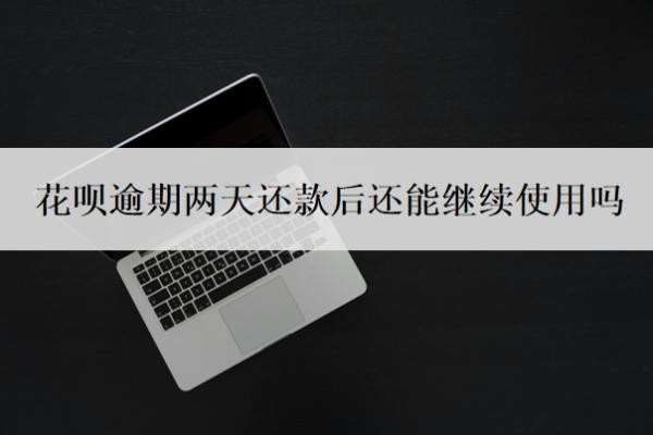 花呗逾期两天还款后还能继续使用吗